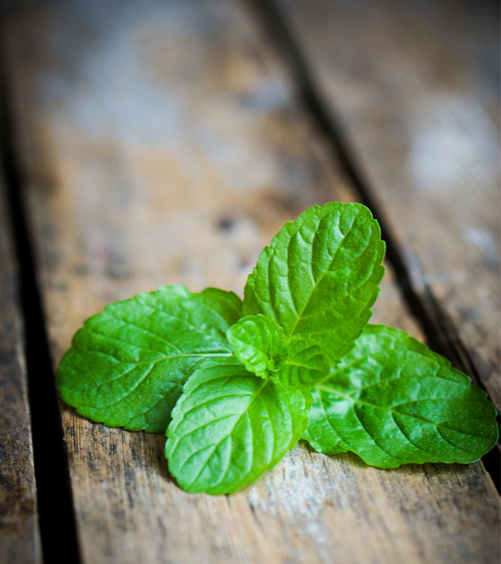 10 Benefits Of Mint (Pudina) For Skin And 11 Ways To Use It