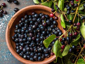 7 Benefits of Maqui Berry, Nutrition, Recipes, And More