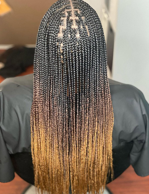 Dreamy Micro Knotless Braids