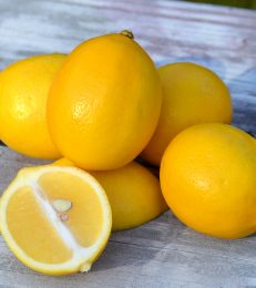 Top 20 Delicious Meyer Lemon Recipes