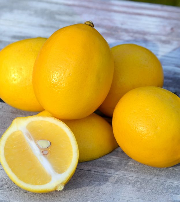 Top 20 Delicious Meyer Lemon Recipes