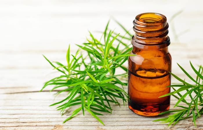 Tea tree oil for facial scars