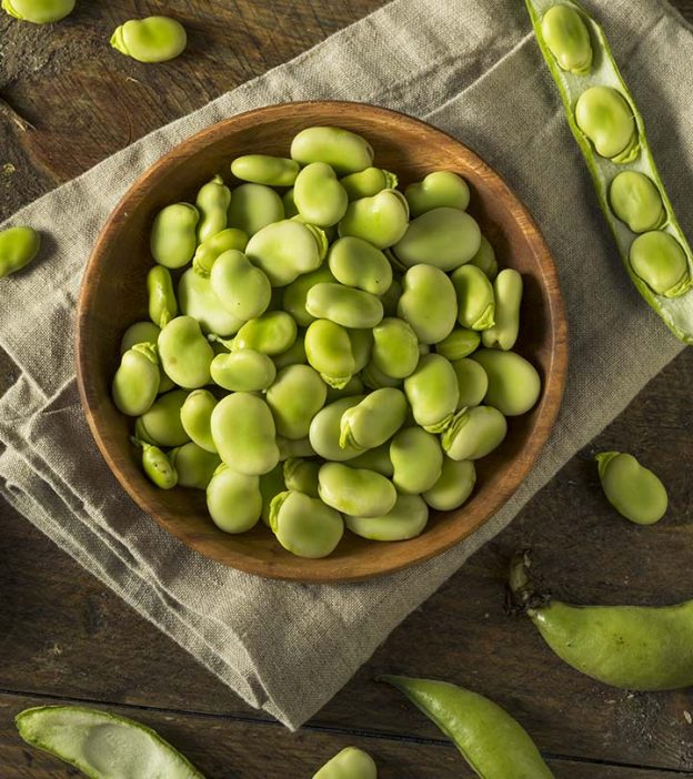 The 6 Powerful Benefits Of Fava Beans + An Incredible Recipe