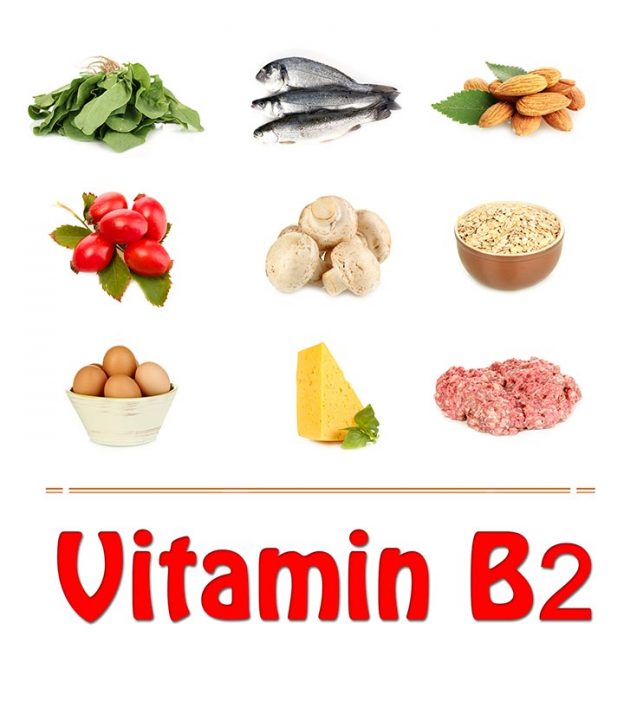 Top 10 Vitamin B2 Rich Foods You Should Include In Your Diet